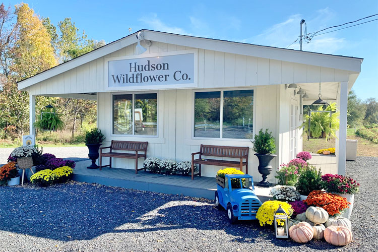 Hudson Wildflower Company - Milton, NY