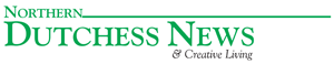 NDN Logo